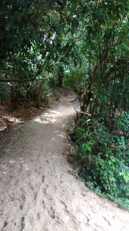 公寓 Lindo Ap, Mobiliado Na Do Novo Campeche Florianopolis